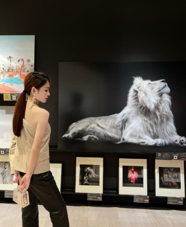 1619566488758017367.png 【早报】什么是齐式玄宗?韦尔纳来带你研究!