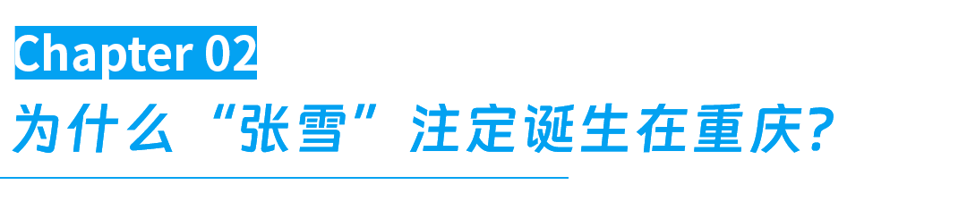 8868体育官方网站-张雪的造车野心,凭什么只有这座城才装得下?